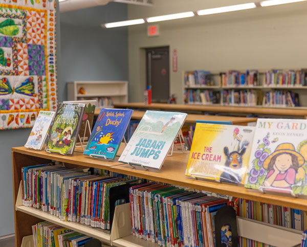 Books on shelves